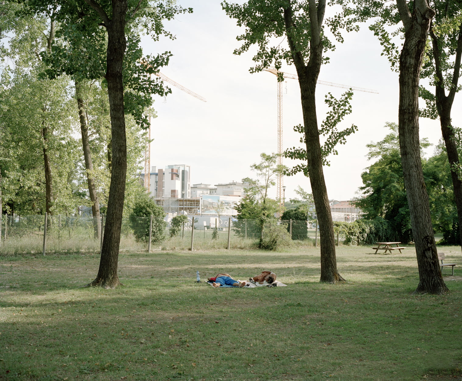 Lowlands Marcello Mariana