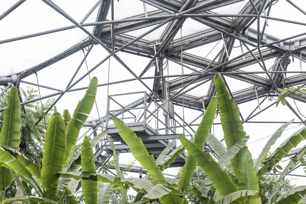Stefania_Miravalle_Eden_Project