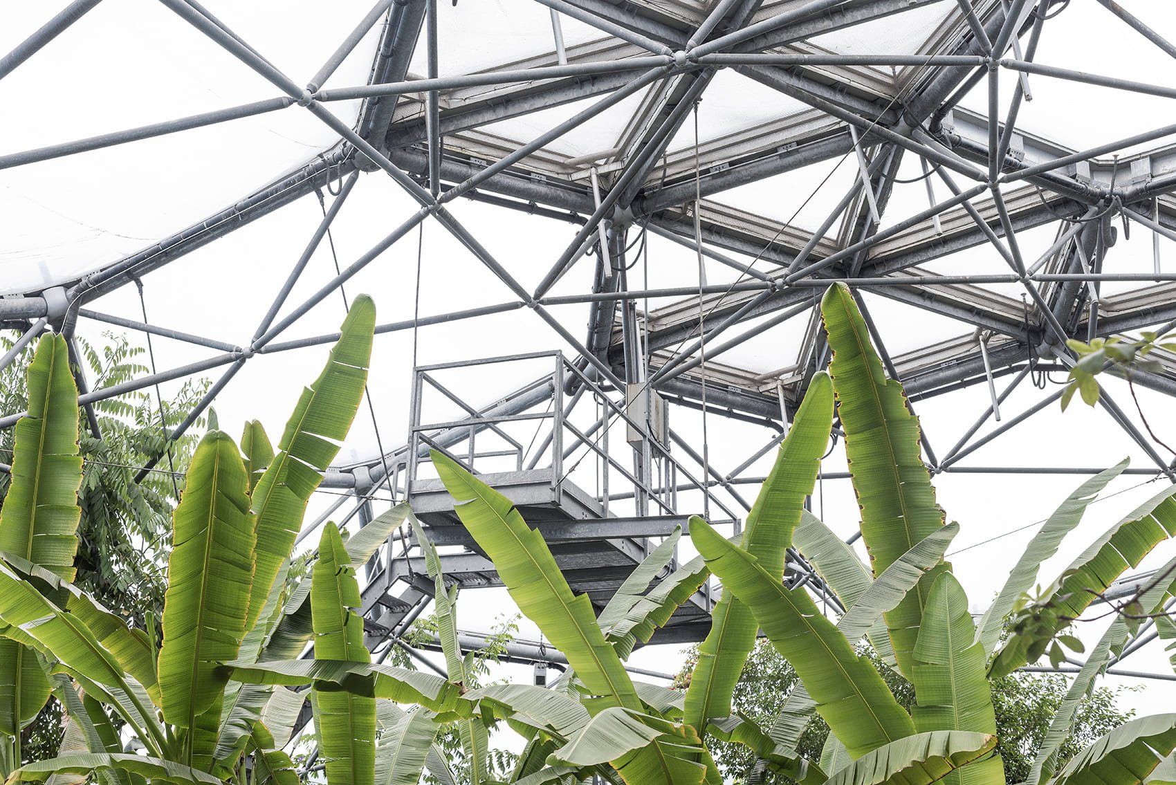 Stefania_Miravalle_Eden_Project