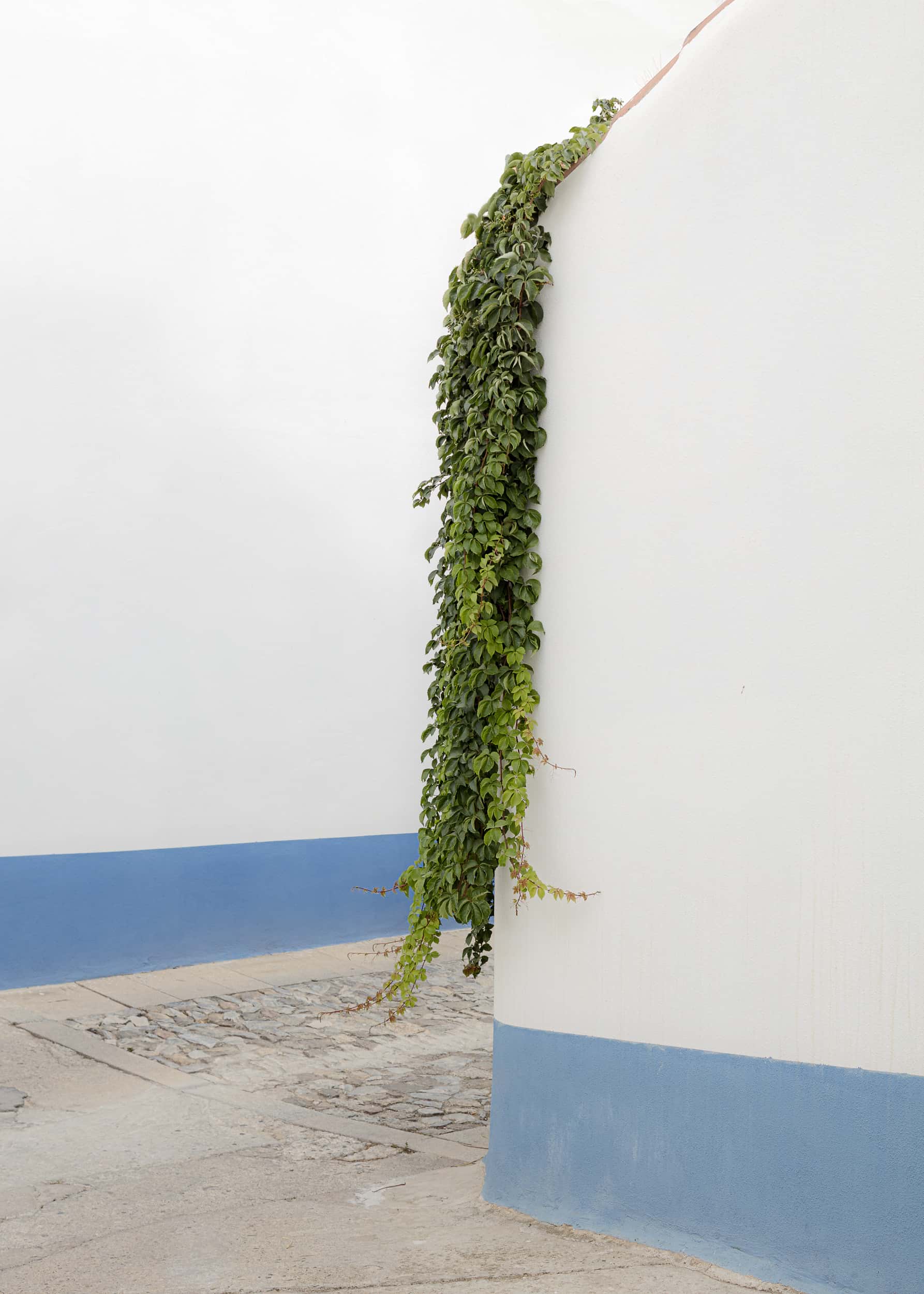FA Fotografia dell'Architettura_NICCOLO'_VONCI_PERGOLA VILLAGE-1 (3)
