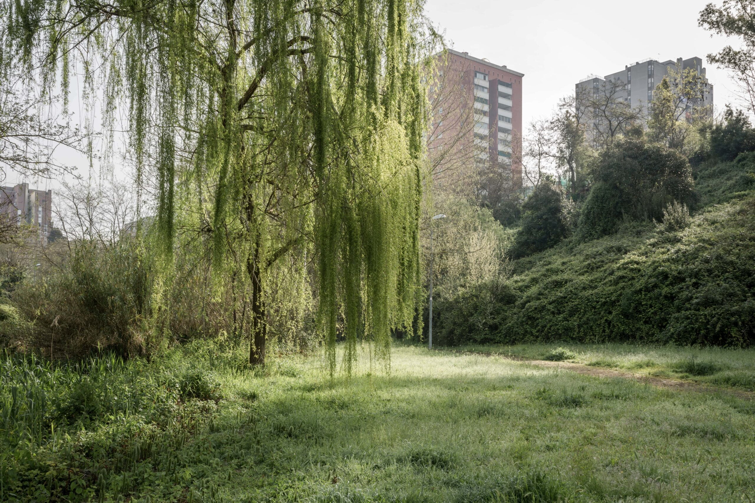 FAFotografiadellArchitettura_Jacopo_Rimedio_5km