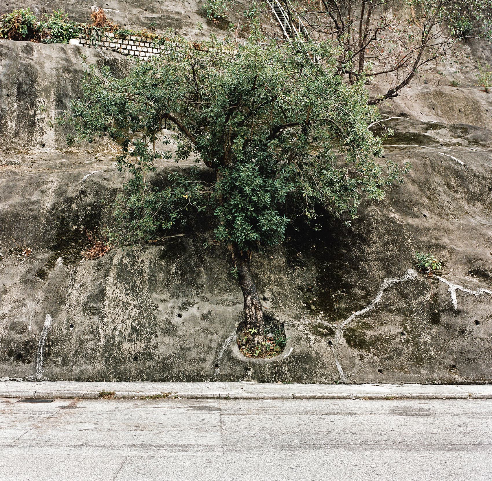 © FA — Fotografia dell'Architettura, Almanac 2024, Kwai Shing West Estate, Pascal Greco