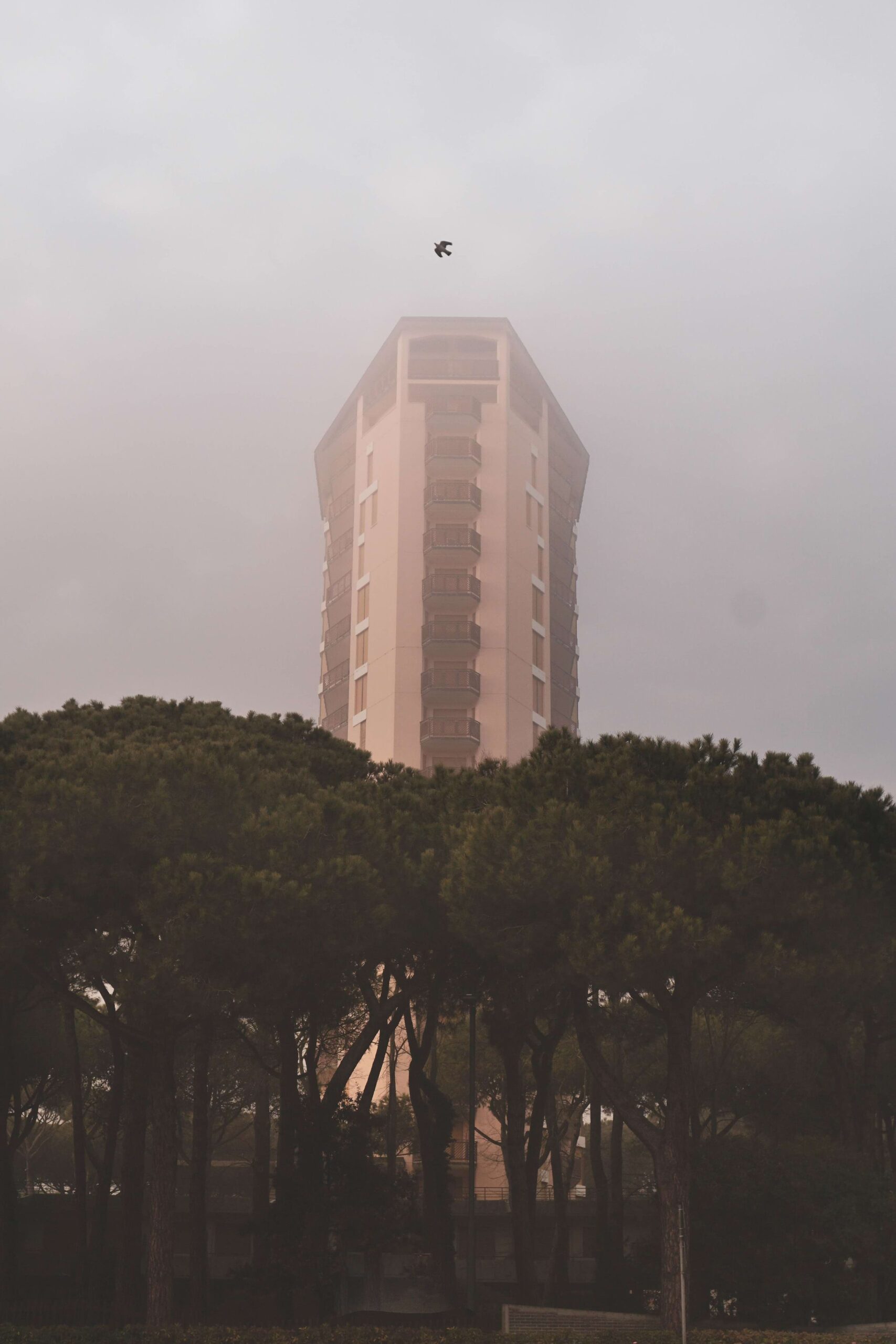 © FA — Fotografia dell'Architettura, Almanac 2025, Once upon a time, Federica Sartorato
