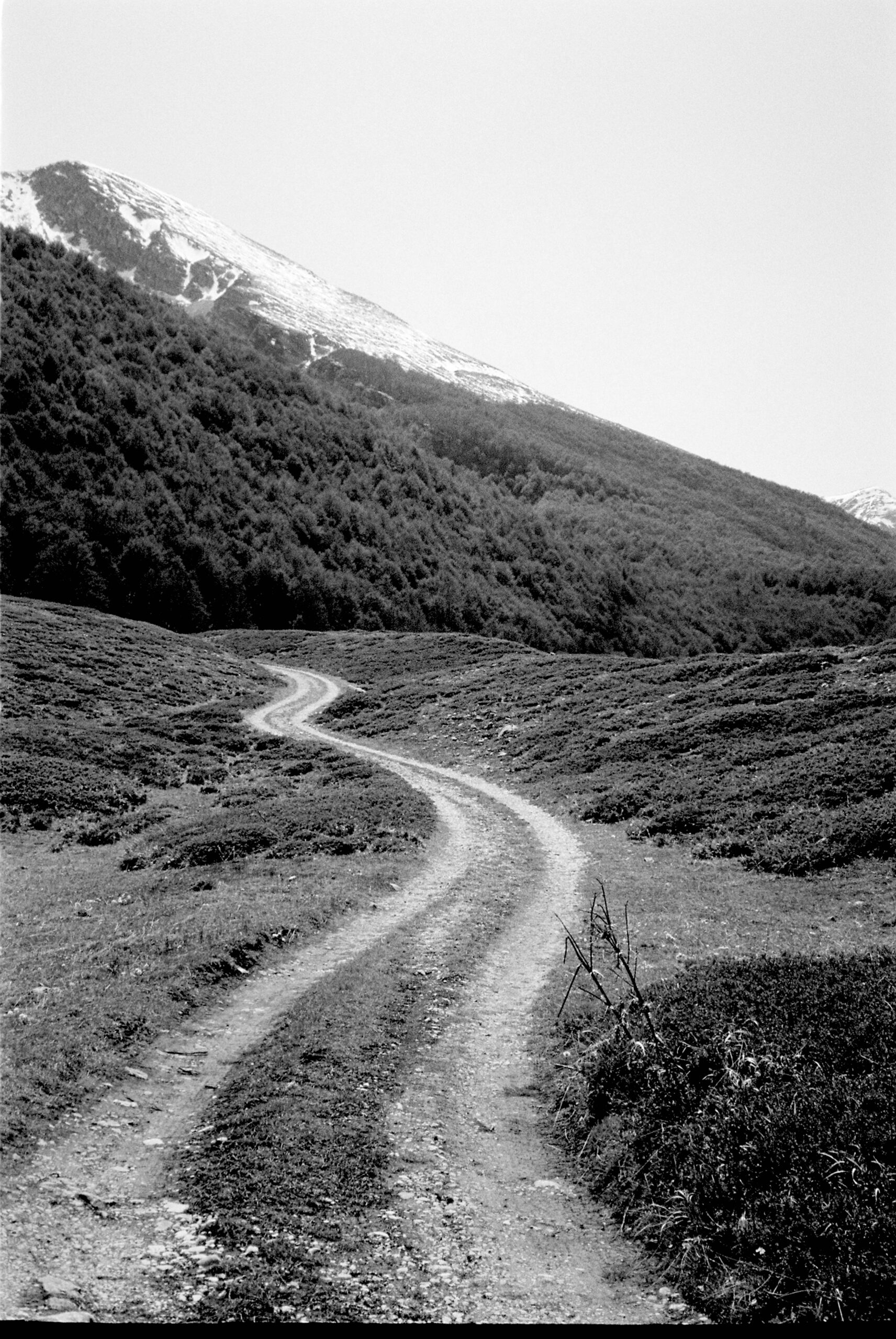 © FA — Fotografia dell'Architettura, Almanac 2025, Le Pagliare, Icaro Lorenzoni